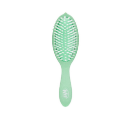 WETBRUSH Go Green biodegradable hairbrush with tea tree oil